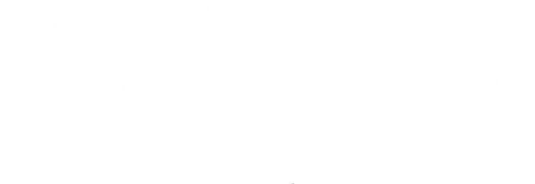 MFM Zulassungsservice